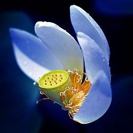 《我的世界》乐高套装发布 包含12个生物群系与物品